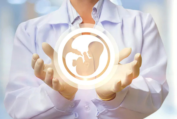 IVF